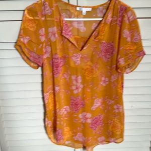 Size small brand dr2